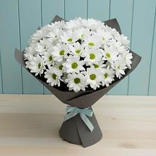 Букет цветов из:  Хризантемы #REPLACE_PRED# Большой Ирбе