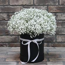 Цветочная композиция из Гипсофила в шляпной коробке в Большой Ирбе